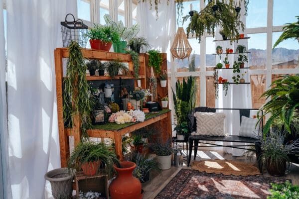 A room filled with lots of plants and pots.