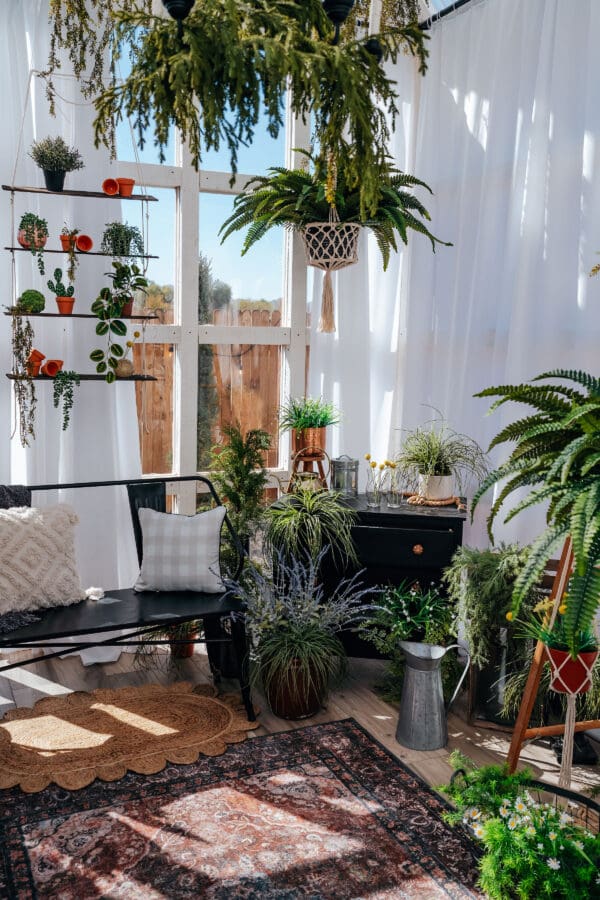 A room filled with lots of plants and furniture.