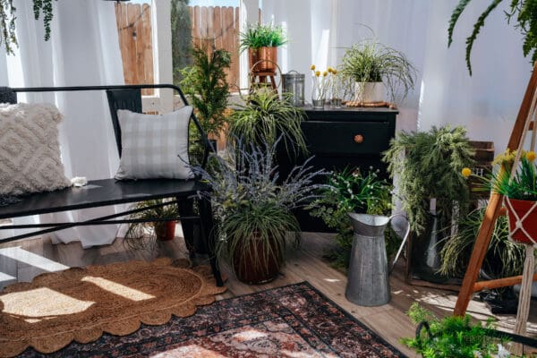 A room with many plants and a rug