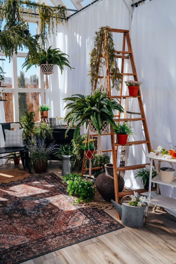 A room filled with plants and potted plants.