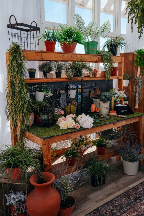 A wooden table with plants on top of it.